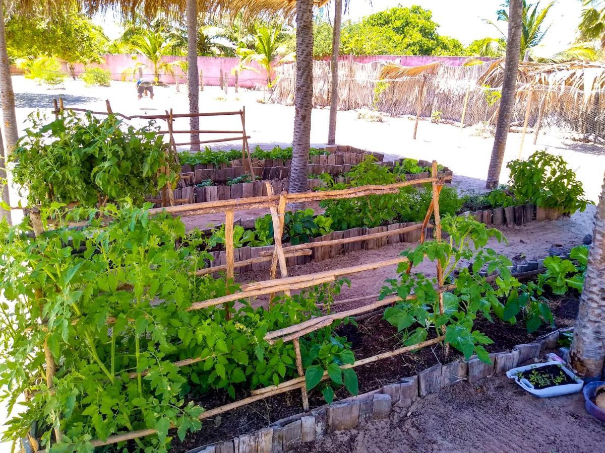 Castelo Vendom Ecolodge باراجورو المظهر الخارجي الصورة