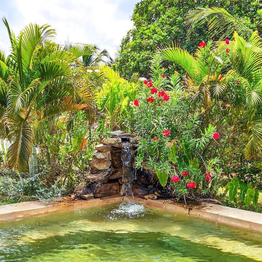 Castelo Vendom Ecolodge باراجورو المظهر الخارجي الصورة