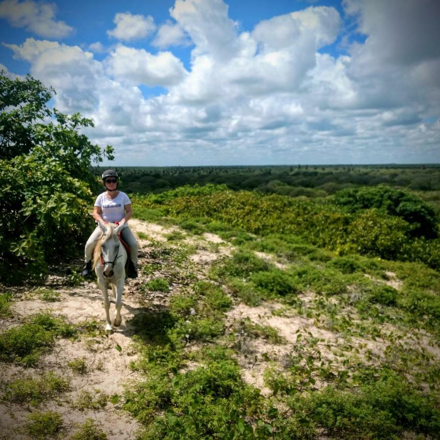 Castelo Vendom Ecolodge باراجورو المظهر الخارجي الصورة