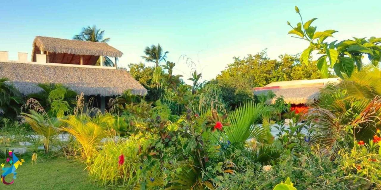 Castelo Vendom Ecolodge باراجورو المظهر الخارجي الصورة