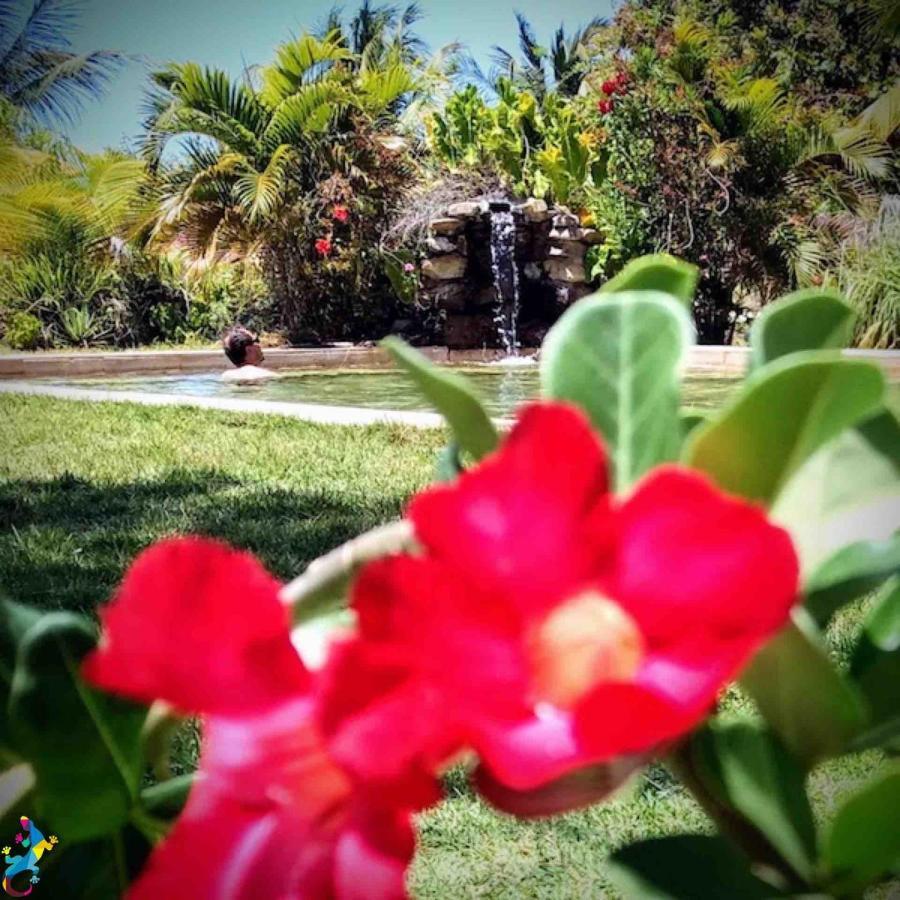 Castelo Vendom Ecolodge باراجورو المظهر الخارجي الصورة